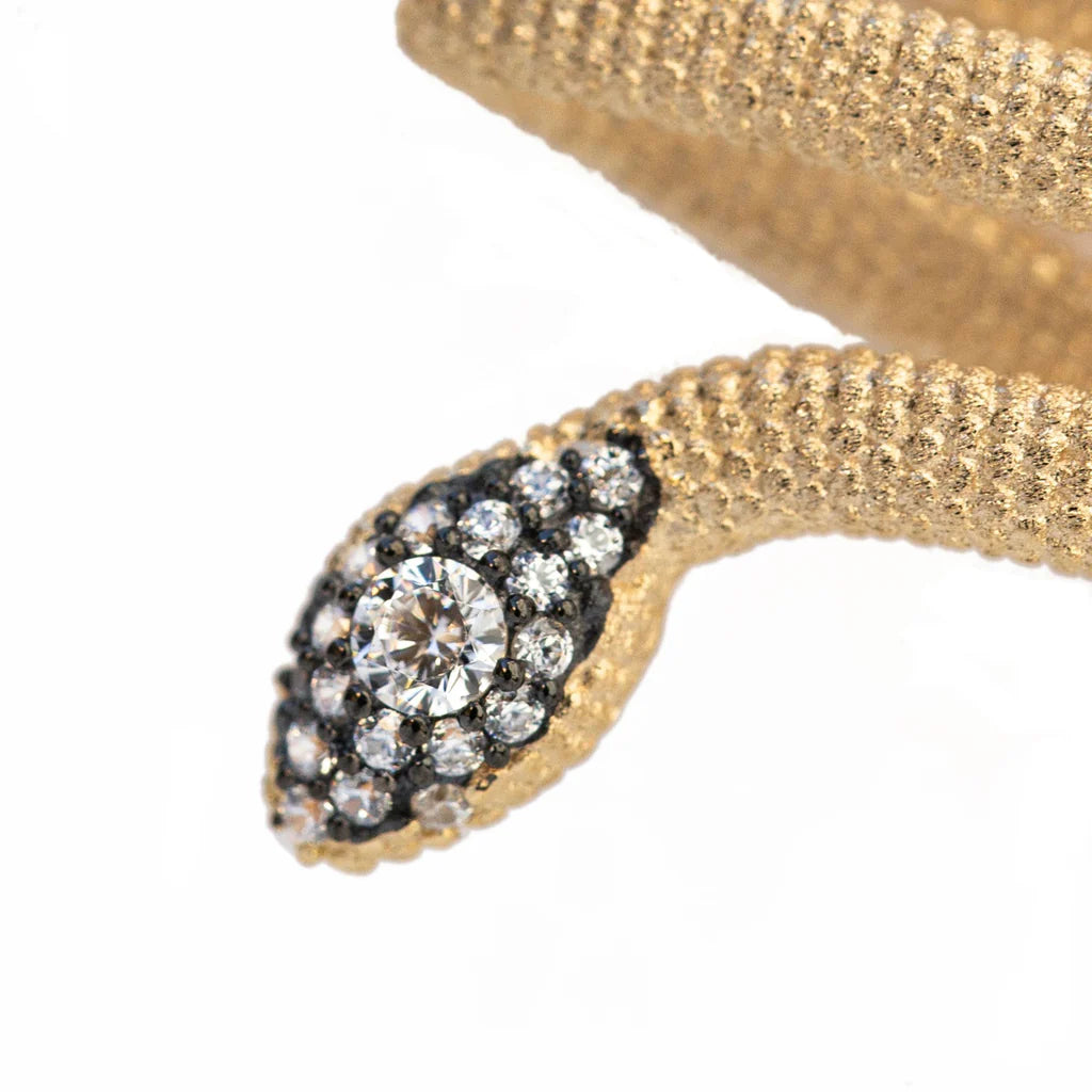 Snake Wrap Earrings